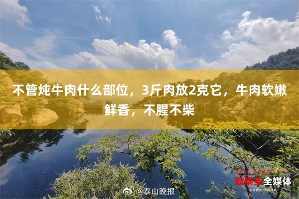 不管炖牛肉什么部位，3斤肉放2克它，牛肉软嫩鲜香，不腥不柴
