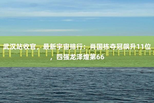 武汉站收官，最新宇宙排行：肖国栋夺冠飙升11位，四强龙泽煌第66
