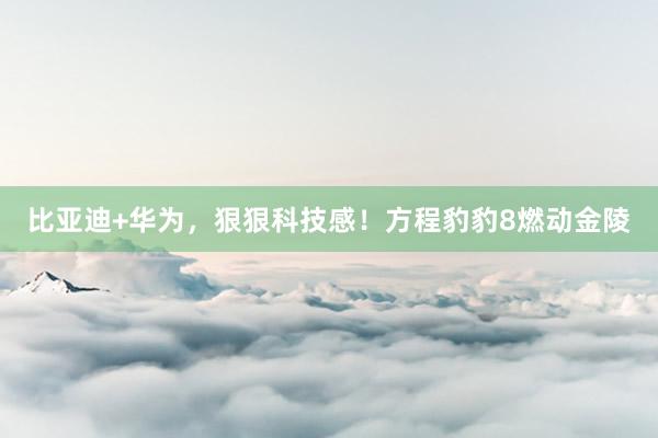 比亚迪+华为，狠狠科技感！方程豹豹8燃动金陵