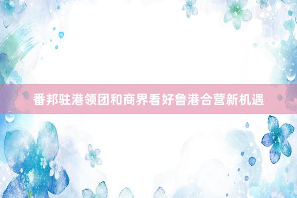 番邦驻港领团和商界看好鲁港合营新机遇