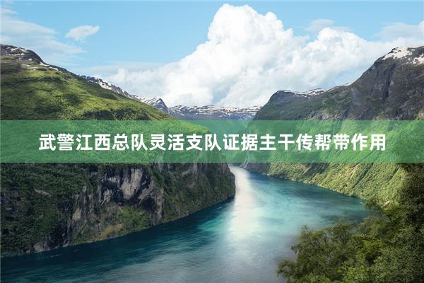 武警江西总队灵活支队证据主干传帮带作用