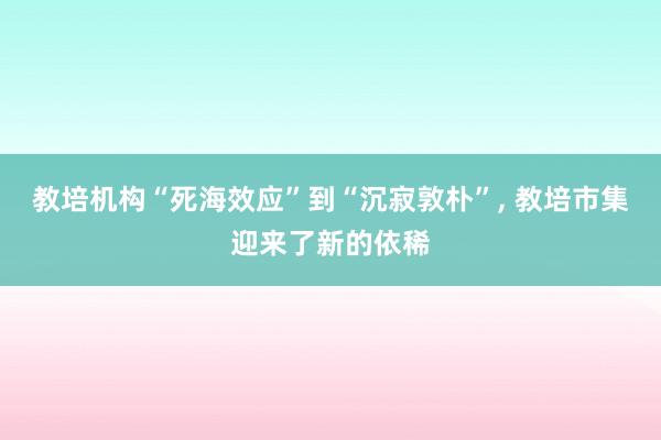 教培机构“死海效应”到“沉寂敦朴”, 教培市集迎来了新的依稀