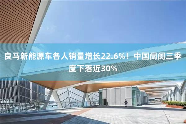 良马新能源车各人销量增长22.6%！中国阛阓三季度下落近30%