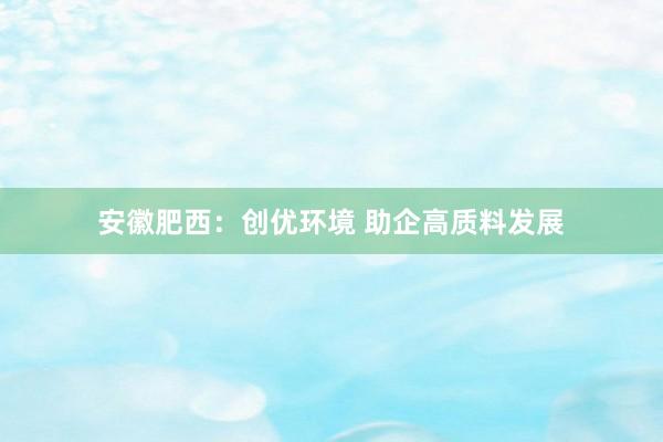 安徽肥西：创优环境 助企高质料发展