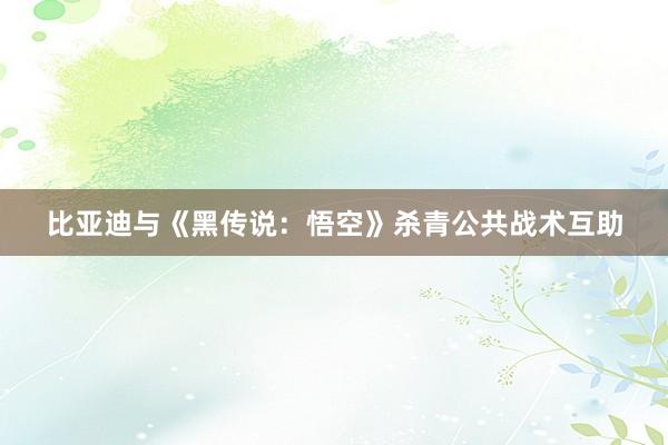 比亚迪与《黑传说：悟空》杀青公共战术互助